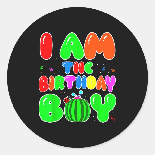 I Am The Birthday Boy Funny Watermelon Birthday Fa Classic Round Sticker (Front)