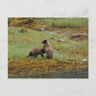 I am the Boss Postcard