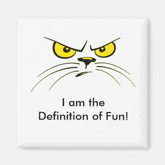 I am the Definition of Fun! / Cat Magnet