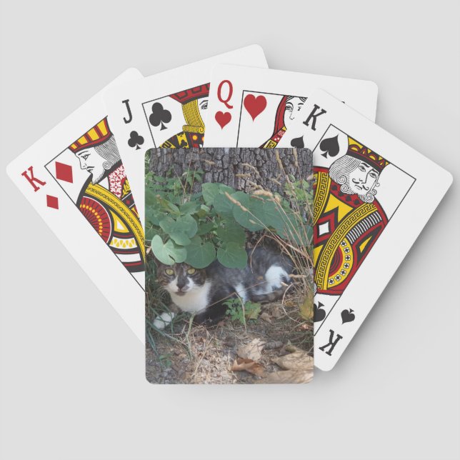 I am the invisible cat playing cards (Back)