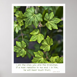 I am the vine Poster John 15:5 quote