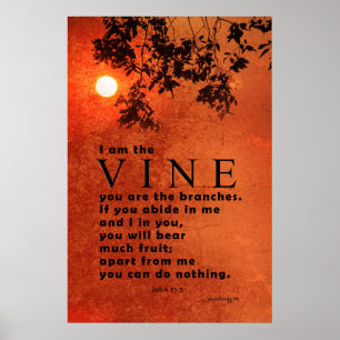 I am the Vine ... (Scripture: John 15:5) Poster