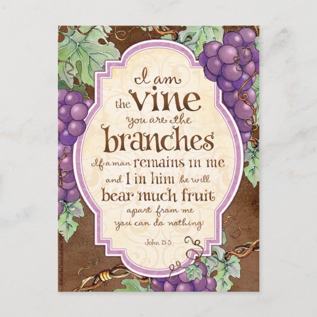 I Am the Vine Scripture Postcard (Front)