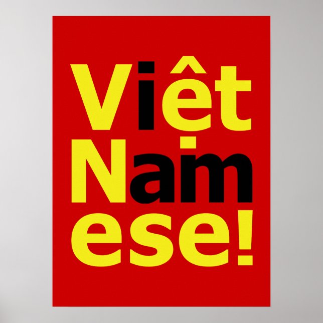 i am Việt Namese! Poster (Front)