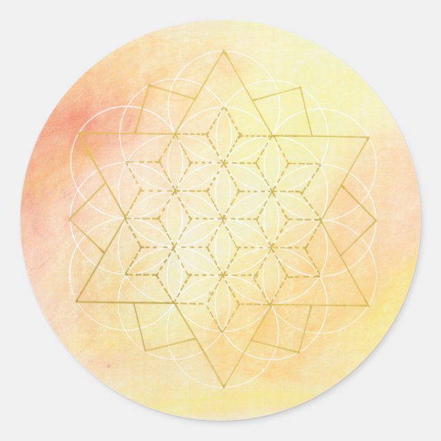 I AM WHOLE sticker (Devant)