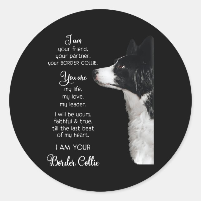 I Am Your Friend Your Pner Your Border Collie Classic Round Sticker (Front)
