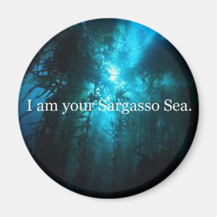 I Am Your Sargasso Sea Magnet