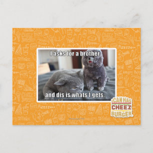 I asks for a brother postcard