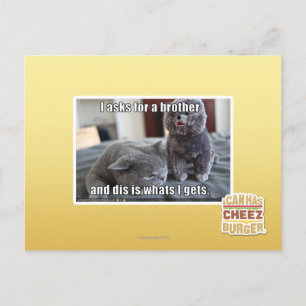 I asks for a brother postcard