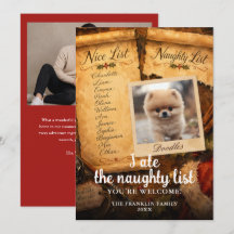 I Ate The Naughty List Cute Pet 2 Photo Fun