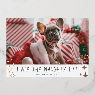 I Ate the Naughty List Pet Photo Foil Holiday Card