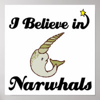 i believe in narwhals