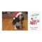 I Believe in Santa Paws