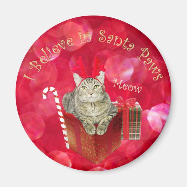 I Believe in Santa Paws Magnet (Front)