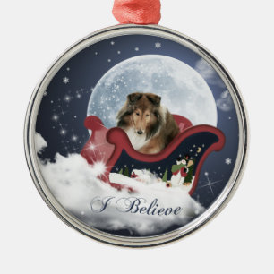 I Believe Too Metal Ornament