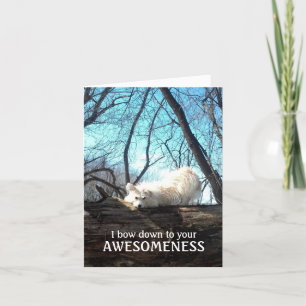 I Bow Down To Your Awesomeness (A Thank You Card)