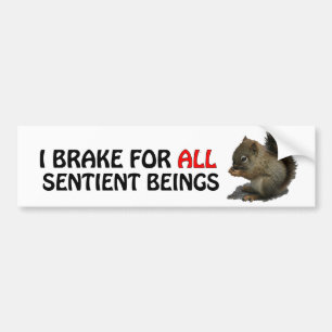 I BRAKE FOR ALL SENTIENT BEINGS (Baby Squirrel) Bumper Sticker