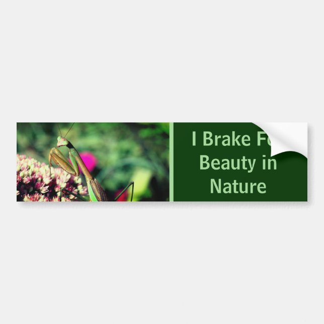 I Brake For Beauty Praying Mantis Nature  Bumper Sticker (Front)
