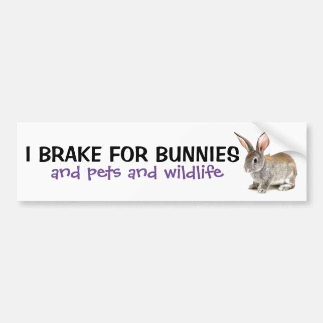 I Brake For Bunnies Bumper Sticker (Front)