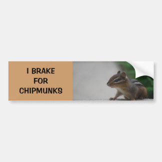 I Brake for Chipmunks Bumper Sticker