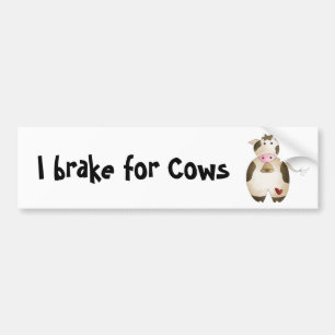 I brake for Cows Bumper Sticker