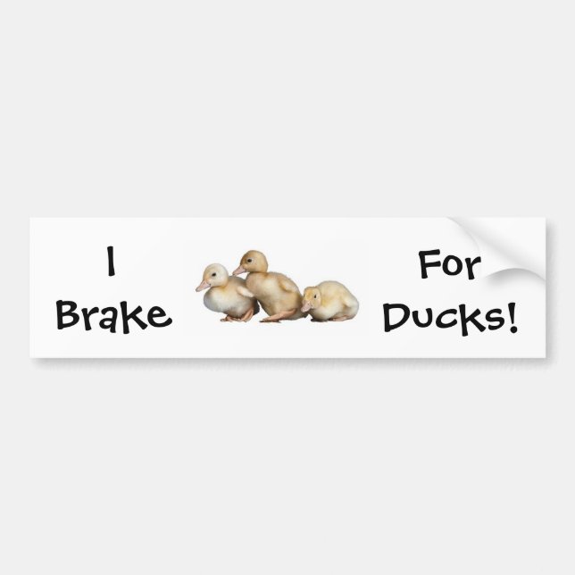 I Brake, For Ducks! bumper sticker (Front)