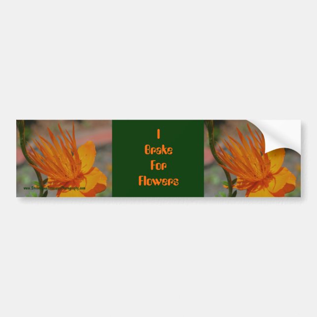 I Brake For Flowers Bumper Sticker Car Art (Front)
