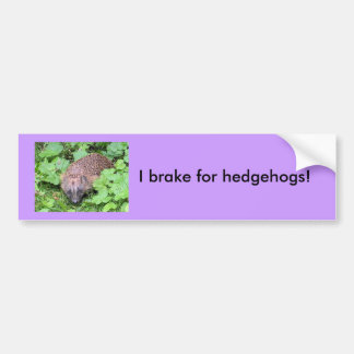 I brake for hedgehogs! bumper sticker