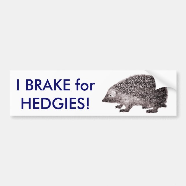 I Brake for HEDGIES! Save Hedgehogs Bumpersticker Bumper Sticker (Front)