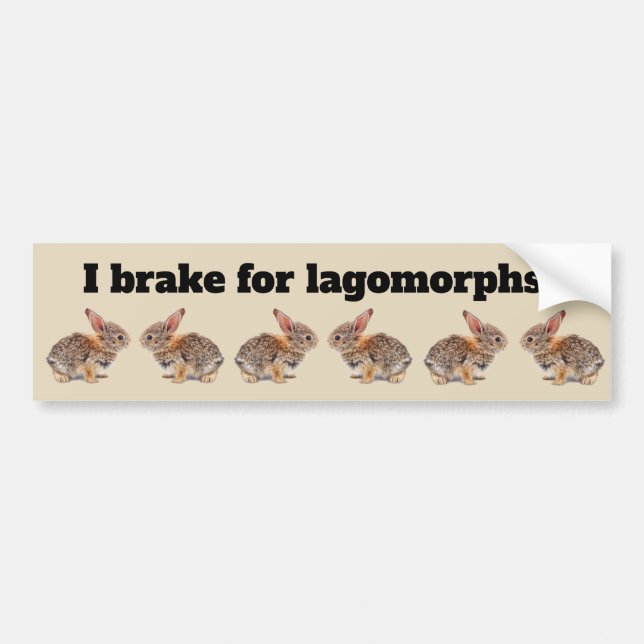I Brake for Lagomorphs Rabbit Bumper Sticker (Front)