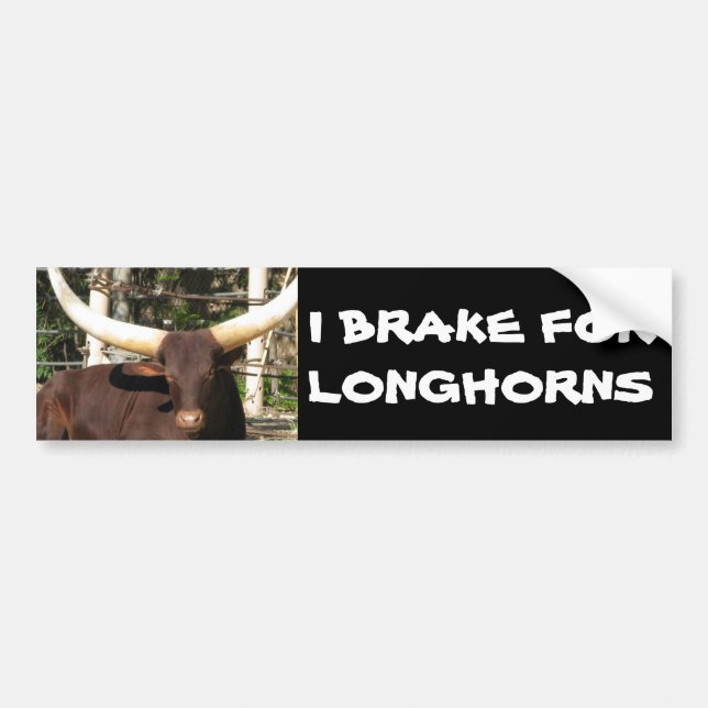 I BRAKE FOR LONGHORNS BUMPER STICKER (Front)