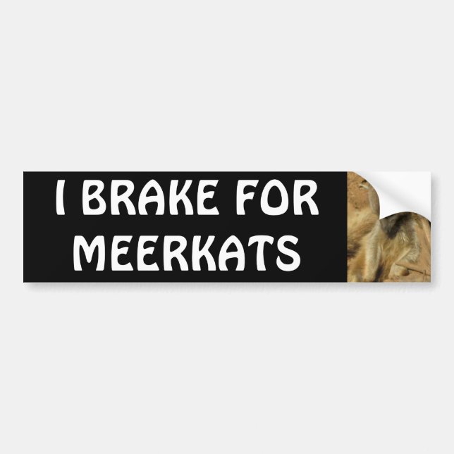 I BRAKE FOR MEERKATS BUMPER STICKER (Front)