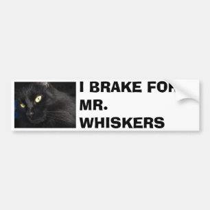 I BRAKE FOR MR. WHISKERS BUMPER STICKER