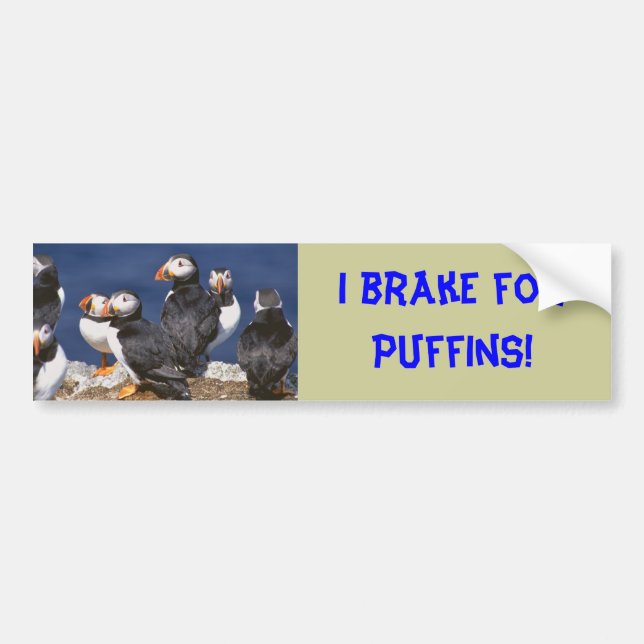 I brake for Puffins bumper sticker (Front)