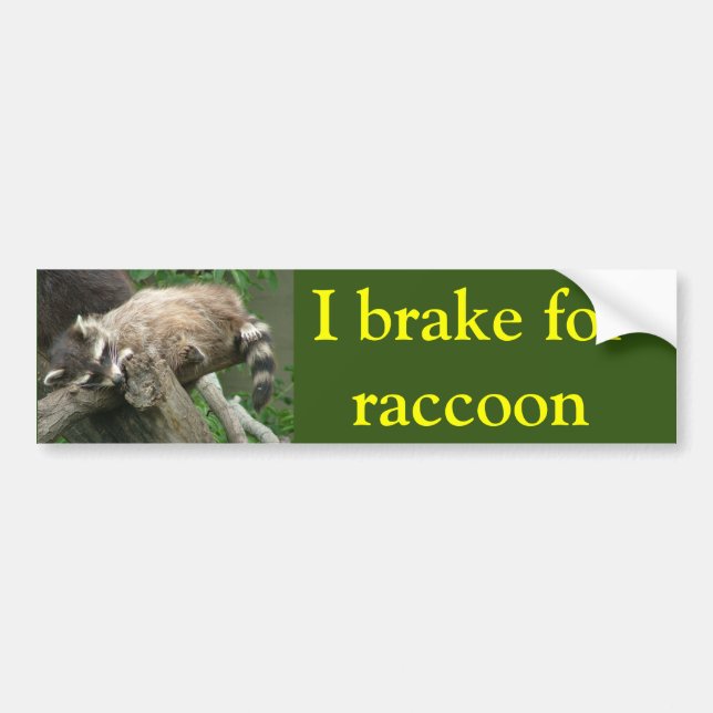 I brake for raccoon bumper sticker (Front)