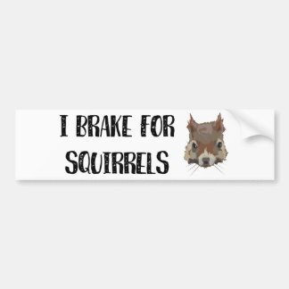 I Brake For Squirrels Bumper Sticker