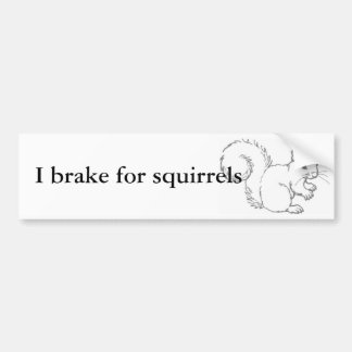 I brake for squirrels bumper sticker