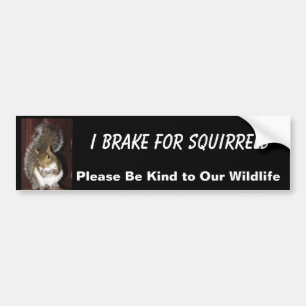 I Brake for Squirrels bumper sticker
