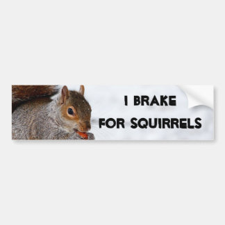 I Brake for Squirrels bumper sticker
