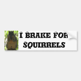 I Brake For Squirrels - Humour Bumper Sticker