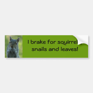 I brake for squirrels, snails and leaves bumper sticker