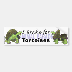 I Brake for Tortoises Bumper Sticker