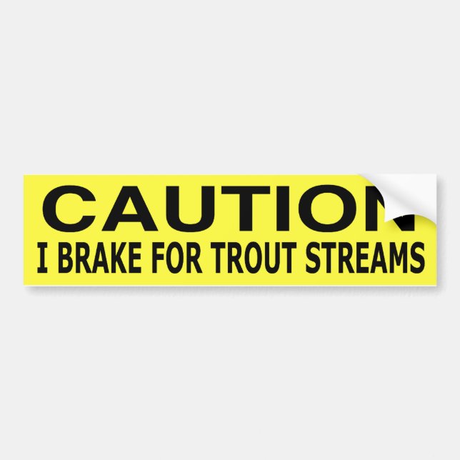 I brake for trout streams bumper sticker (Front)