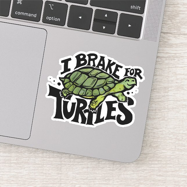 I Brake for Turtles (Detail)