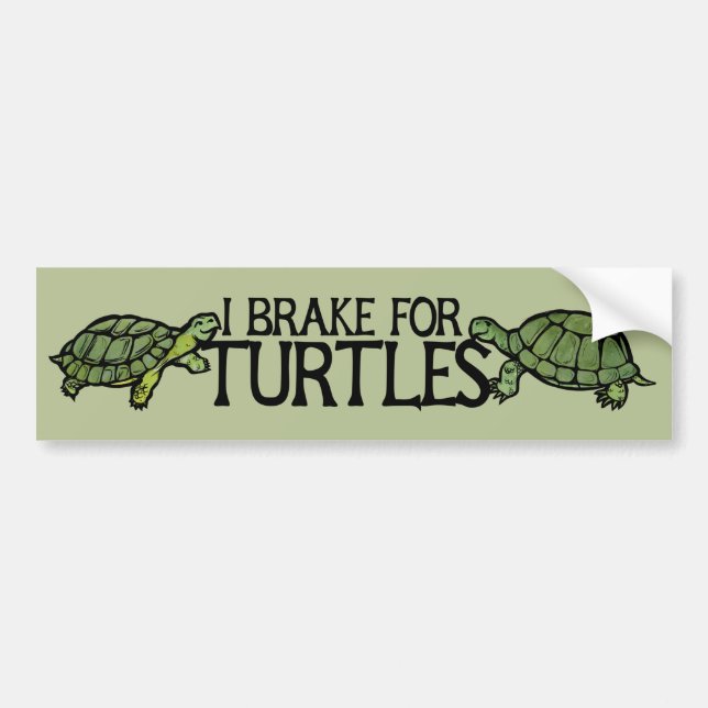 I Brake for Turtles Bumper Sticker (Front)