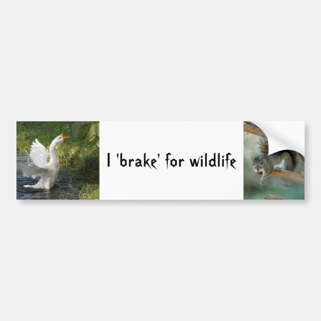I brake for wildlife Goose Squerrl Bumper Sticker (Devant)
