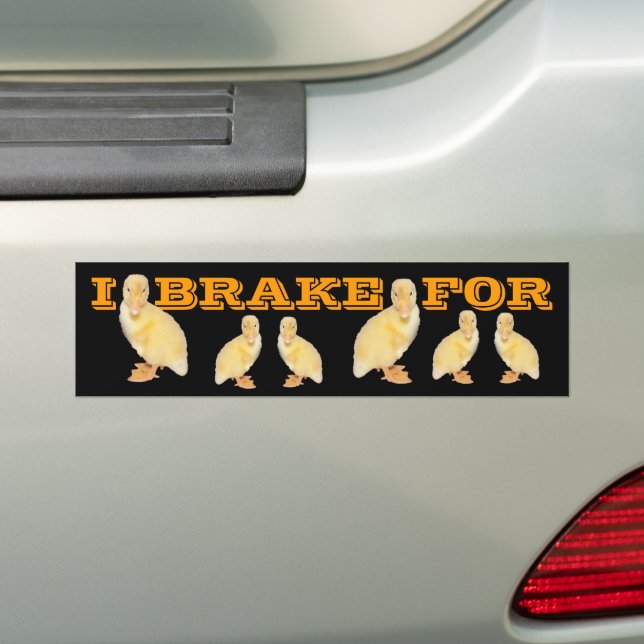 I BRAKE FOR Yellow Duckling Photo Personalized Bumper Sticker (On Car)