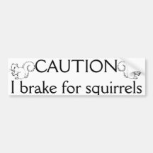 I break for squirrels