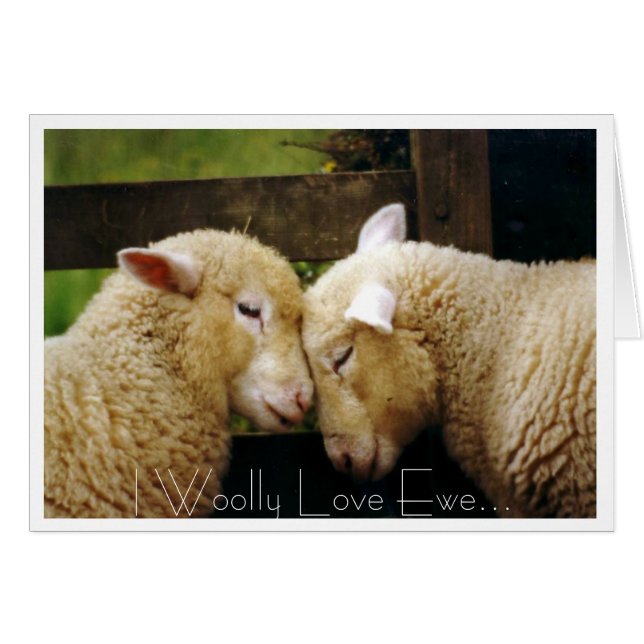 I brebis laineuse d'amour (Devant horizontal)
