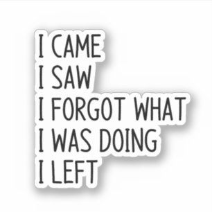 I came i saw i forgot what i was doing